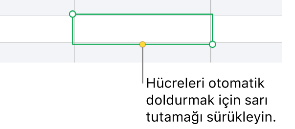 Hücreleri otomatik doldurmak için sürükleyebileceğiniz bir sarı tutamağı olan seçili hücre.