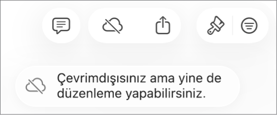 Ekrandaki bir uyarı “Çevrimdışısınız ama yine de düzenleyebilirsiniz” der.