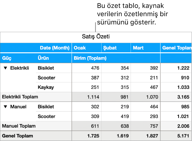 Bisiklet, scooter ve kaykay için özetlenmiş verilerle bazı verileri açıklama denetimlerini gösteren bir özet tablo.