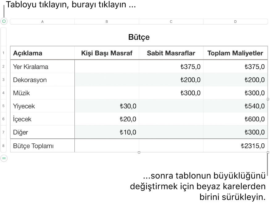 Yeniden boyutlandırma için beyaz kareleri bulunan seçili bir tablo.