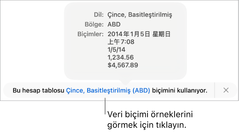 O dil ve bölgede kullanılan biçimlendirme örneklerini gösteren, farklı dil ve bölge ayarı bildirimi.