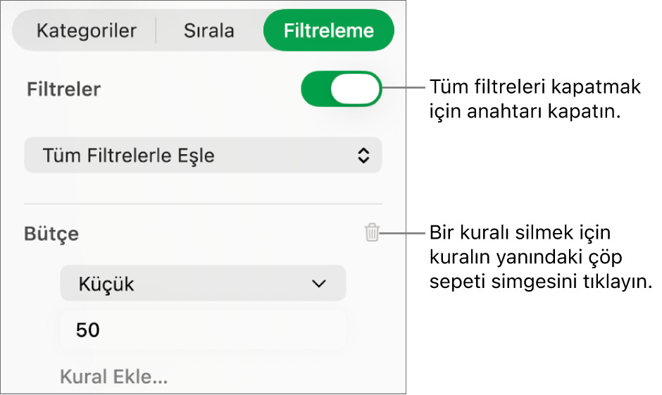 Filtreyi silme veya tüm filtreleri kapatma denetimleri.