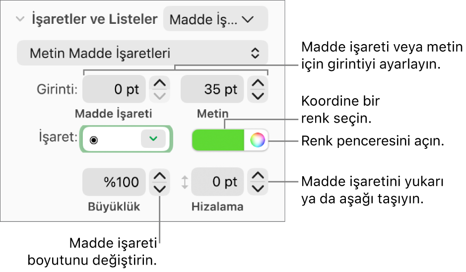 Madde işareti ve metin girintisi, madde işareti rengi, madde işareti büyüklüğü ve hizalaması için denetim belirtimlerini içeren İşaretler ve Listeler bölümü.