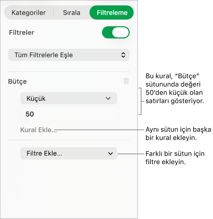 Filtreleme kuralları yaratmaya yönelik denetimler.