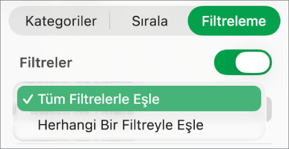 Filtrelerin tümüyle veya herhangi biriyle eşleşen satırları gösterme arasında seçim yapmak için açılır menü.