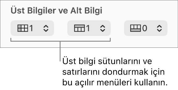 Bir tabloya üst bilgi ve altlık sütunları ve satırları eklemek ve üst bilgi satırlarını ve sütunlarını dondurmak için kullanılan açılır menüler.