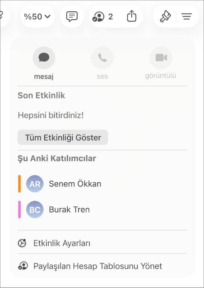Hesap tablosunda ortak çalışan kişilerin adlarını gösteren ortak çalışma menüsü.