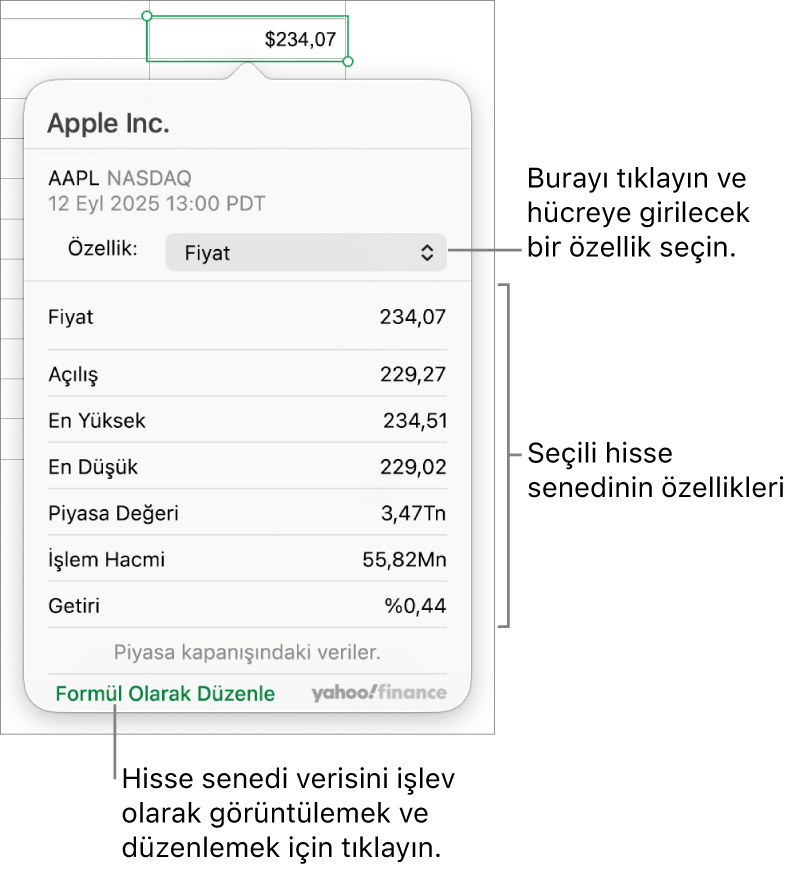 Seçilen hisse senedi Apple olmak üzere hisse senedi özelliği bilgilerinin girildiği sorgu kutusu.