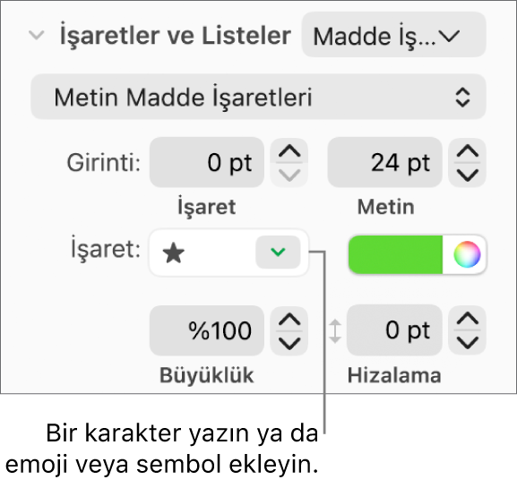 Biçim kenar çubuğunun Madde İşaretleri ve Listeler bölümü. Madde İşareti alanı bir yıldız emojisi gösterir.