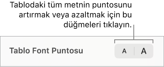 Tablo metni için font puntosu denetimi.