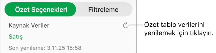 Özet tabloyu yenileme seçeneğini gösteren Özet Seçenekleri sekmesi.