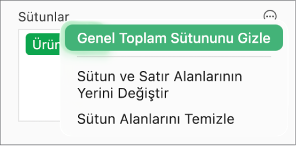 Genel toplamları gizleme, sütun ve satır alanlarını yer değiştirme ve alanları temizleme denetimlerini gösteren Daha Fazla Alan Seçeneği menüsü.