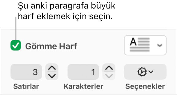 İlki Büyük Harf onay kutusu seçilidir ve sağında bir açılır menü görünür; satır yüksekliğini, karakter sayısını ve diğer seçenekleri ayarlama denetimleri ise altında görünür.
