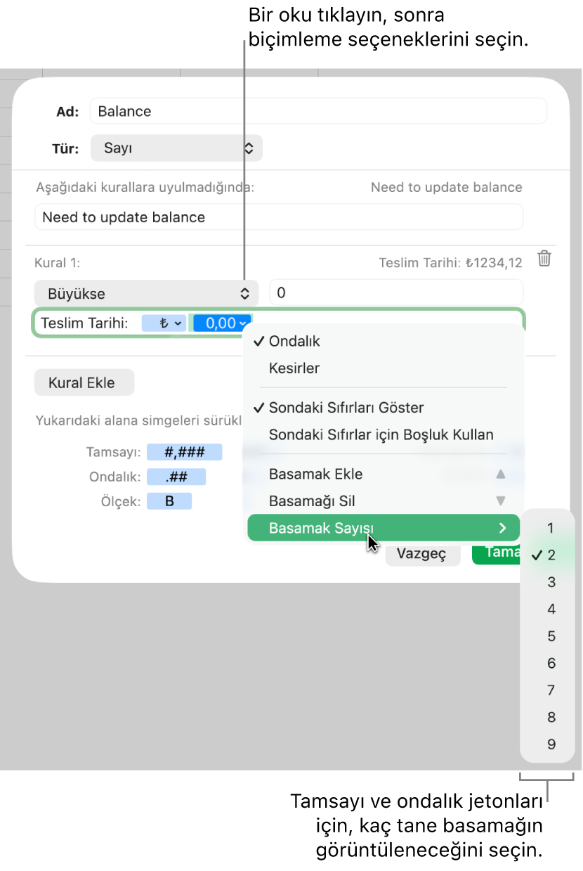 Özel biçimlendirme seçeneklerini seçen denetimlerin bulunduğu özel hücresi biçimlendirme penceresi.