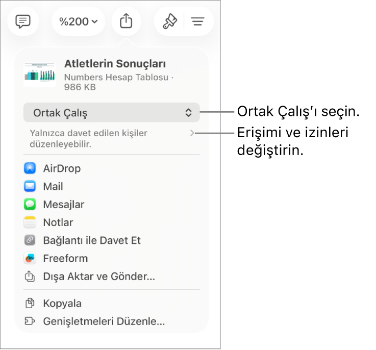 En üstte Ortak Çalış seçili olan Paylaş menüsü ve altında erişim ve izin ayarları.