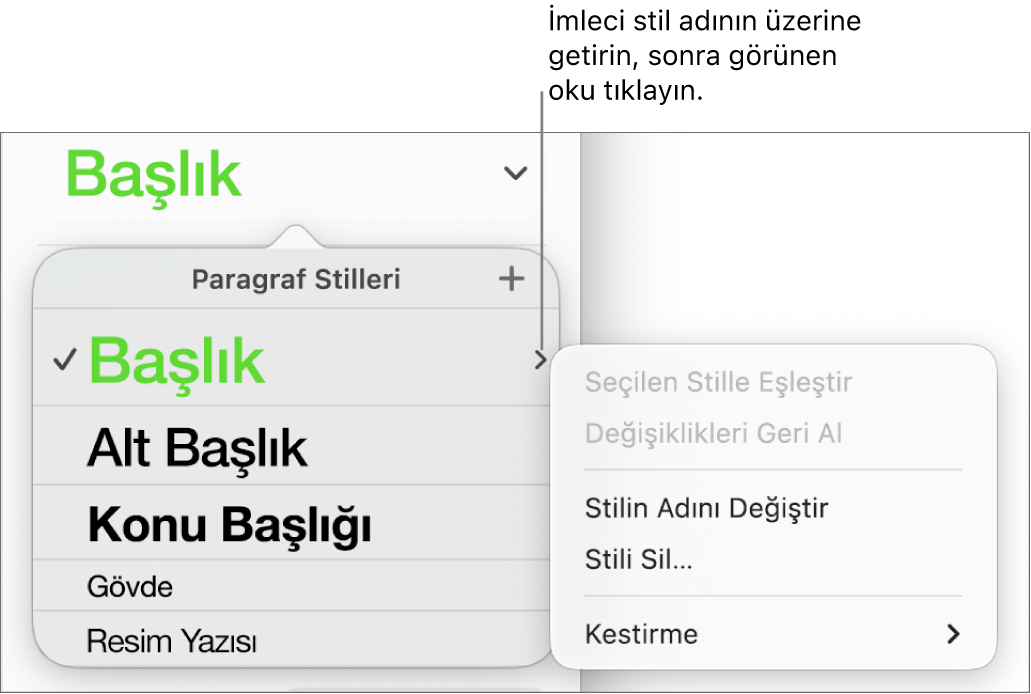 Kestirme menüsünün açık olduğu Paragraf Stilleri menüsü.