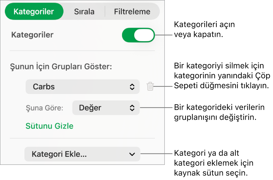 Kategorileri kapatma, kategorileri silme, verileri yeniden gruplama, kaynak sütunu gizleme ve kategori ekleme seçeneklerini içeren kategoriler kenar çubuğu.