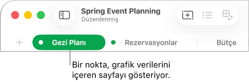 Bu sayfadaki bir tabloya şu anda düzenlediğiniz verilere sahip olan grafikte referans verildiğini belirten noktalı bir sayfa sekmesi.