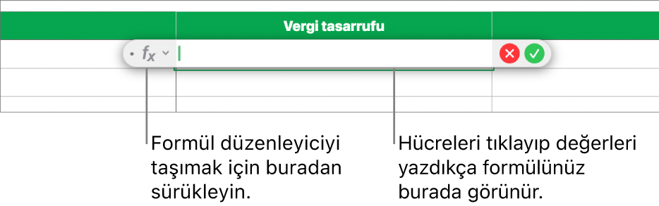 Formül Düzenleyici.