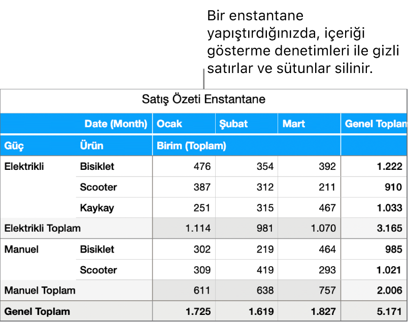 Özet tablo enstantanesi.