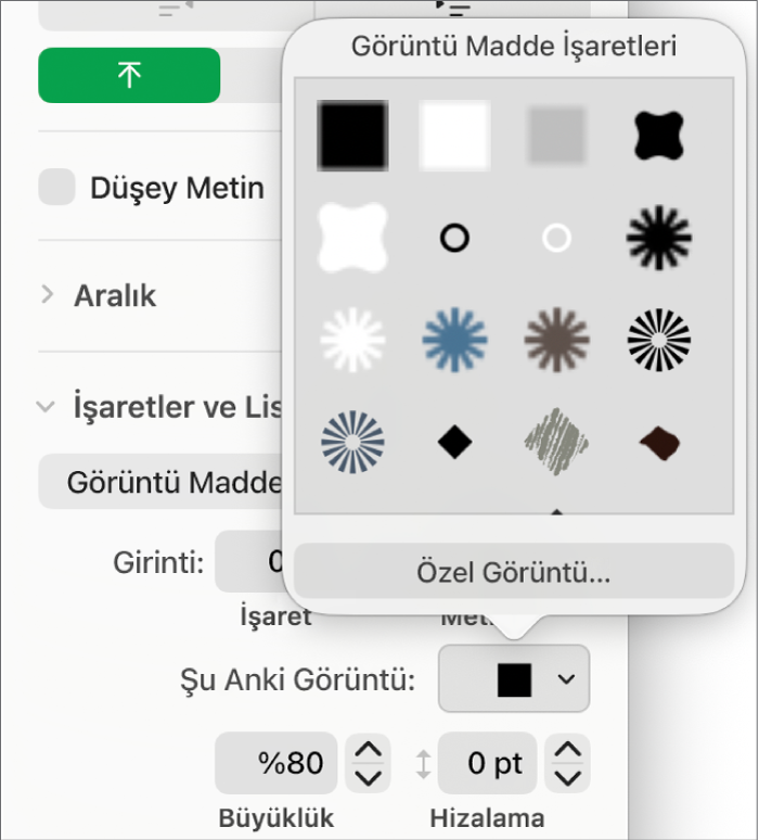 Görüntü Madde İşaretleri açılır menüsü.