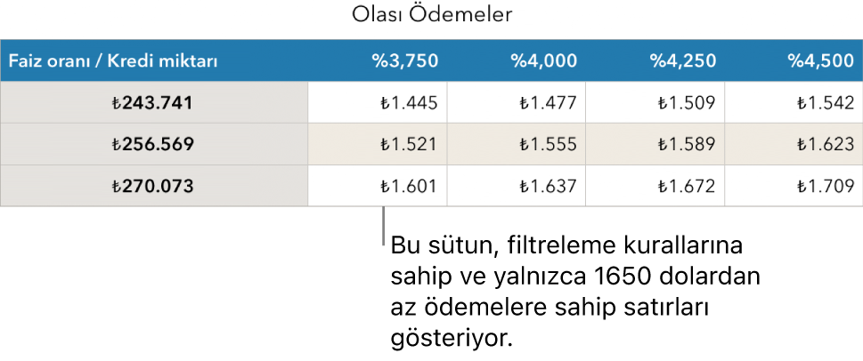 Karşılanabilir faiz oranları için filtre uygulandıktan sonra görünen ev kredisi tablosu.