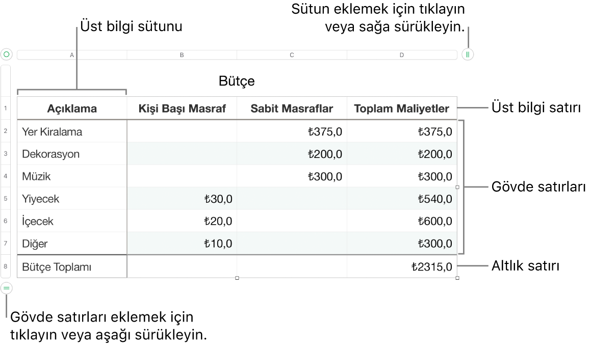 Üst bilgi, gövde ve dipnot satırlarını ve sütunlarını ve satır veya sütun eklemek ya da silmek için tutamakları gösteren bir tablo.