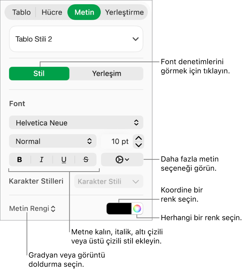 Tablo metnine stil ekleme denetimleri.