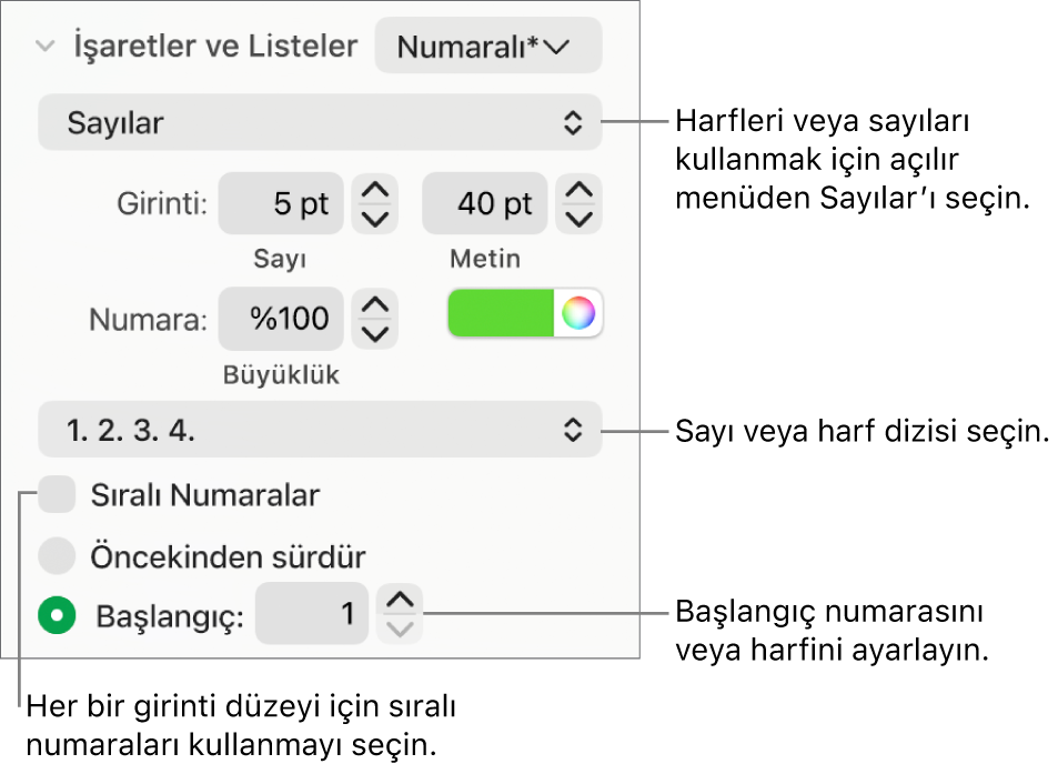 Numara stilini ve bir lise boşluğunu değiştirme denetimleri.