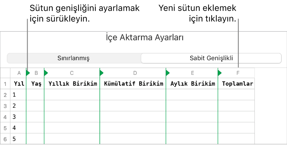 Sabit genişlikli metin dosyası için içe aktarma ayarları.