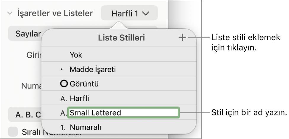 Sağ üst köşede Ekle düğmesi olan Liste Stilleri açılır menüsü ve metni seçili olan yer tutucu stili adı.