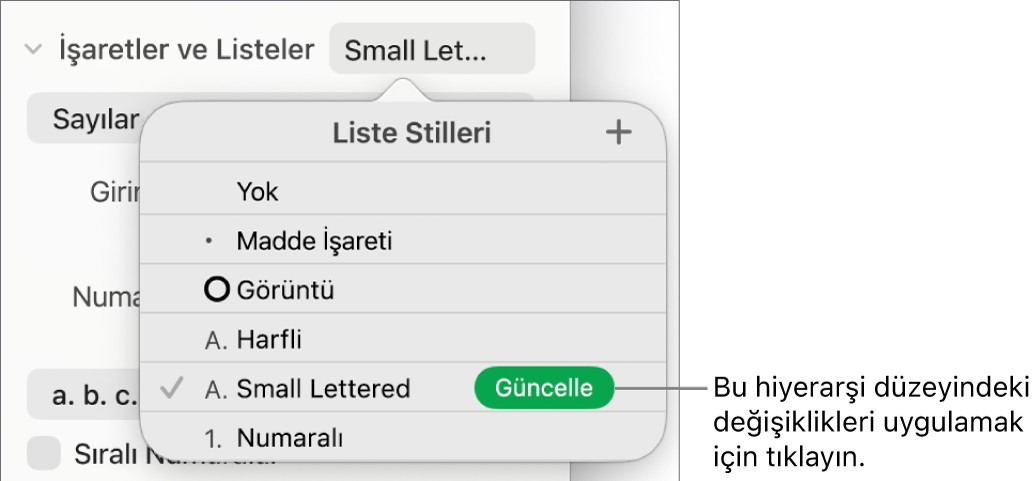 Yeni stilin adının yanında Güncelleme düğmesi olan Liste Stilleri açılır menüsü.