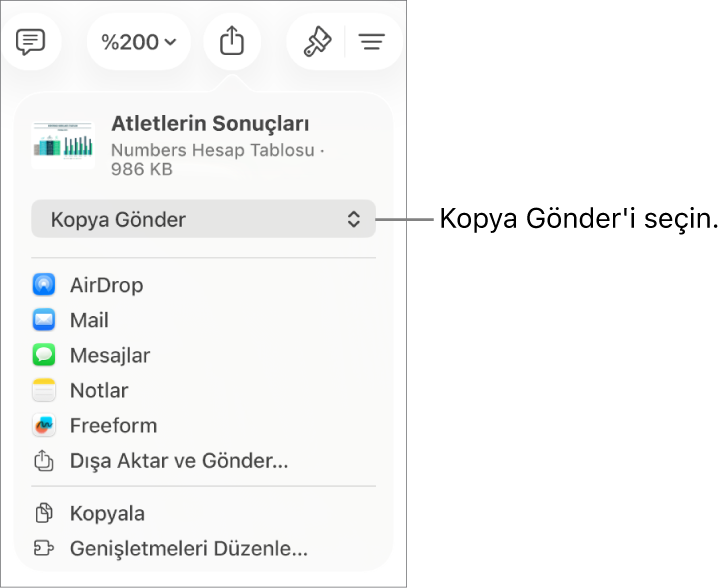 Paylaş menüsü, en üstte Kopya Gönder seçili.