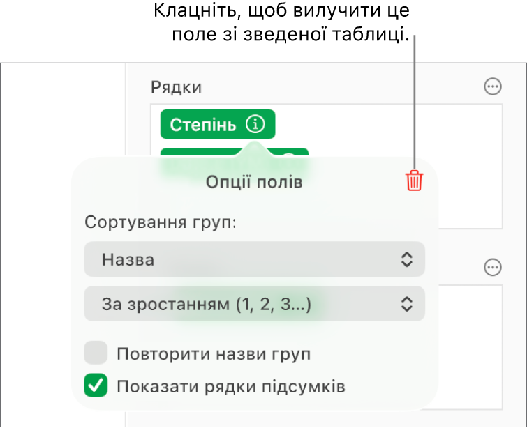 Меню «Опції полів» з елементами керування для групування і сортування даних і з опцією для вилучення поля.