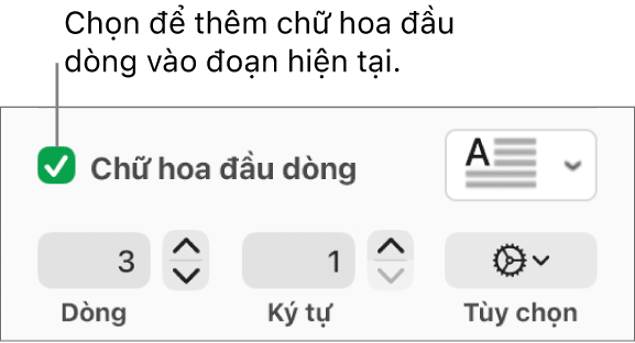 Hộp kiểm Chữ hoa đầu dòng được chọn và menu bật lên xuất hiện ở bên phải; các điều khiển để đặt chiều cao đường, số lượng ký tự và các tùy chọn khác xuất hiện bên dưới.