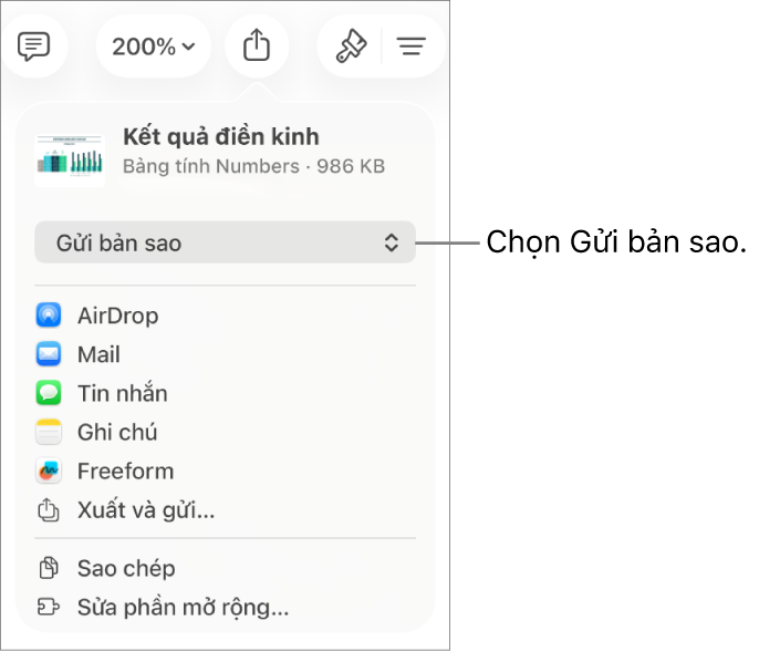 Menu Chia sẻ với Gửi bản sao được chọn ở trên cùng.