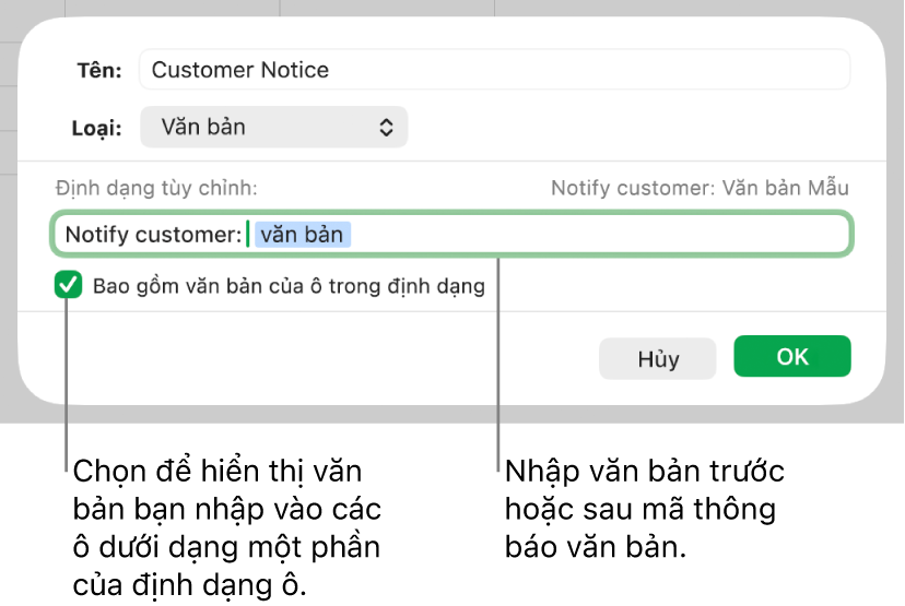 Định dạng ô văn bản tùy chỉnh.