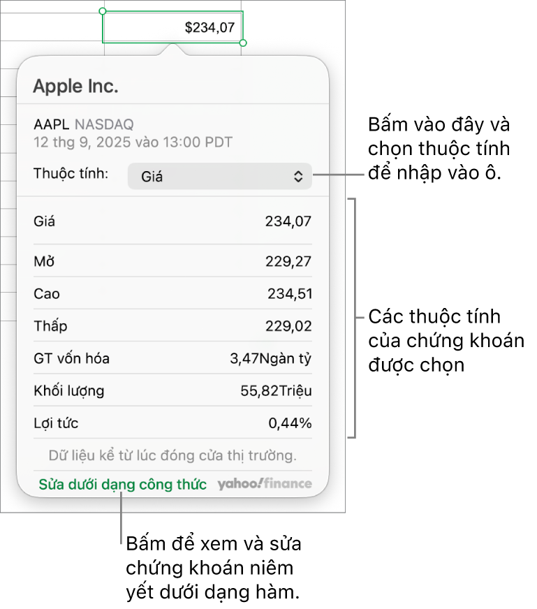 Hộp thoại để nhập thông tin thuộc tính chứng khoán, với Apple là chứng khoán được chọn.