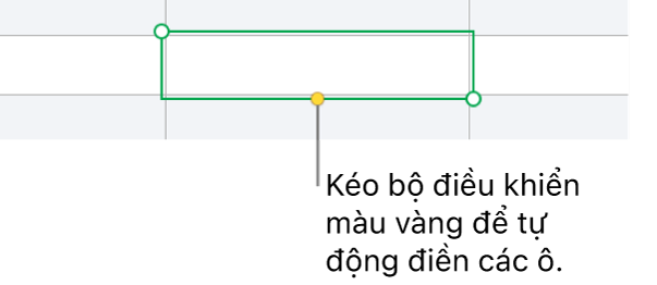 Ô đã chọn có bộ điều khiển màu vàng mà bạn có thể kéo để tự động điền ô.