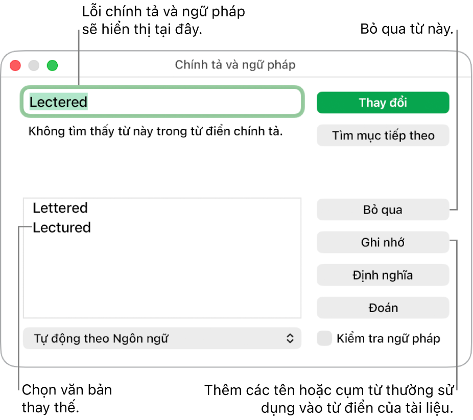 Cửa sổ Chính tả và ngữ pháp.