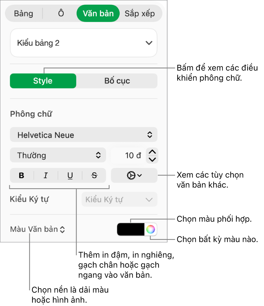 Các điều khiển để tạo kiểu văn bản của bảng.