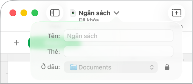 Cửa sổ bật lên để khóa hoặc mở khóa bảng tính.