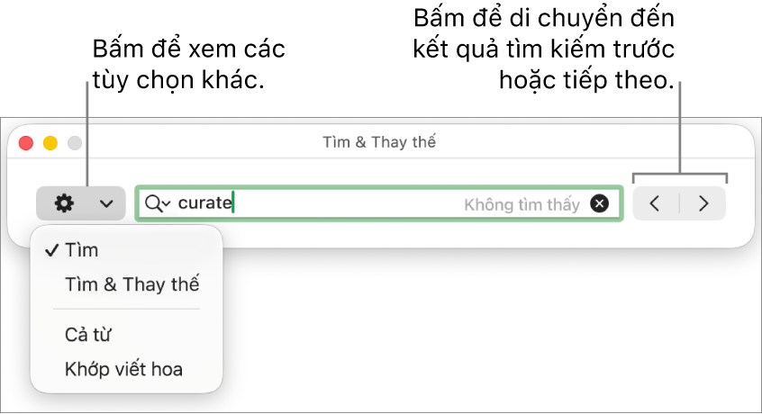 Cửa sổ Tìm & Thay thế với menu bật lên hiển thị các tùy chọn cho Tìm, Tìm & Thay thế, Cả từ và Khớp viết hoa. Các mũi tên ở bên phải cho phép bạn chuyển đến kết quả tìm kiếm trước đó hoặc tiếp theo.