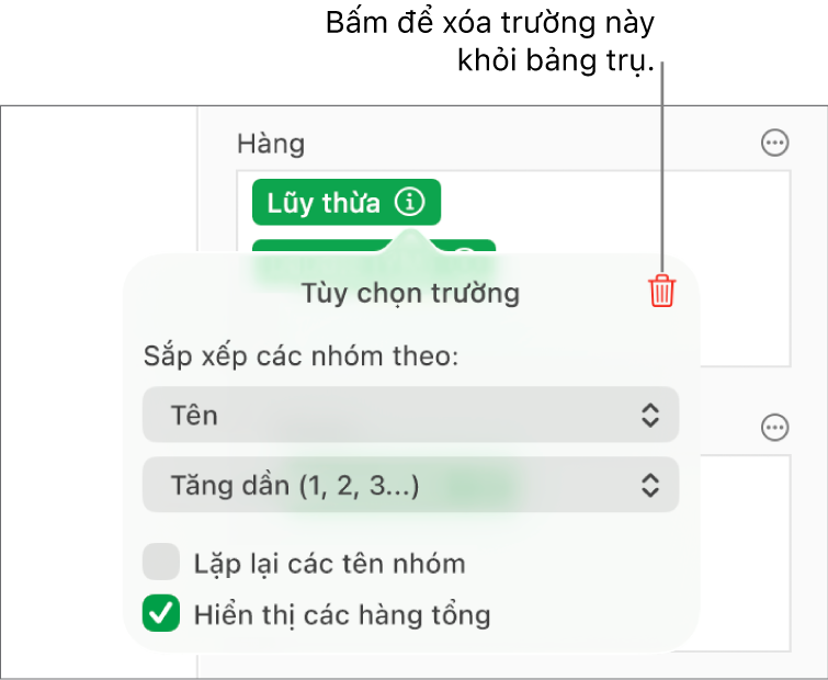 Menu Tùy chọn trường, đang hiển thị các điều khiển để nhóm và sắp xếp dữ liệu cũng như tùy chọn để xóa trường.