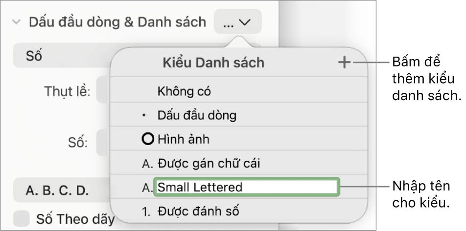 Menu bật lên Kiểu danh sách có nút Thêm ở góc trên cùng bên phải và tên kiểu giữ chỗ với văn bản được chọn.