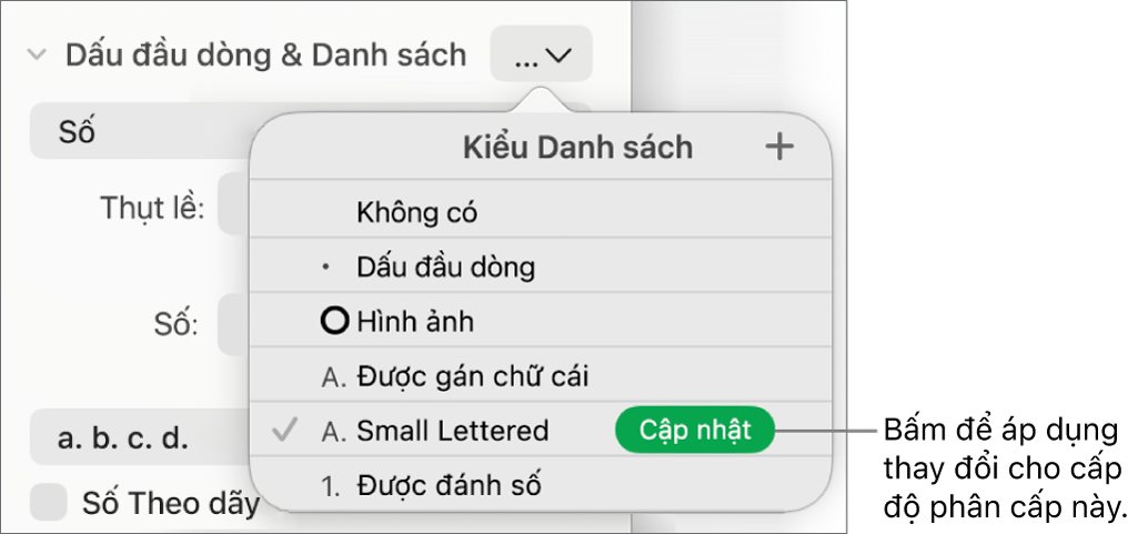 Menu bật lên Kiểu danh sách có nút Cập nhật bên cạnh tên của kiểu mới.