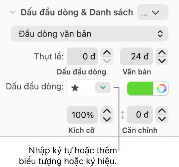 Phần Dấu đầu dòng & Danh sách của thanh bên Định dạng. Trường Đầu dòng hiển thị một biểu tượng ngôi sao.