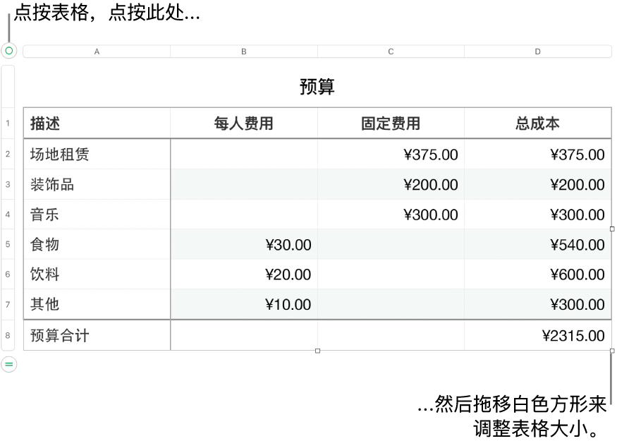 所选表格，含用于调整大小的白色方形。