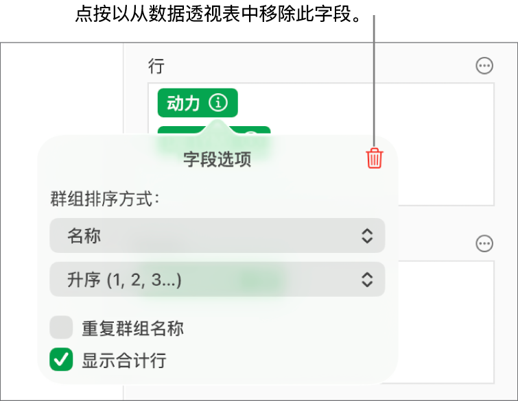 “字段选项”菜单,显示成组和排序数据的控制以及移除字段的选项。