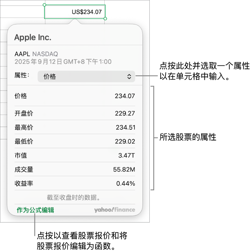 用于输入股票属性信息的对话框,Apple 为选定的股票。